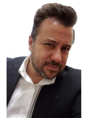 MIKE DIPAOLO