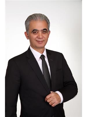 Reza Mohseni