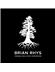 Brian Rhys