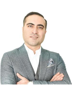 ALIREZA GOLESTAN HABIBI