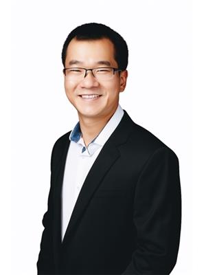 David Phan