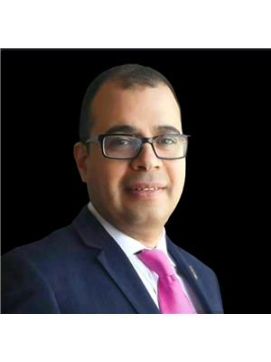 Alan Elbardisy Image