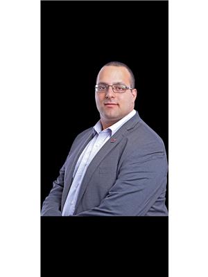 MARK BAROUDI