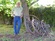 John Armstrong