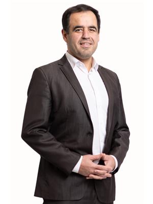Shaheen Zareh