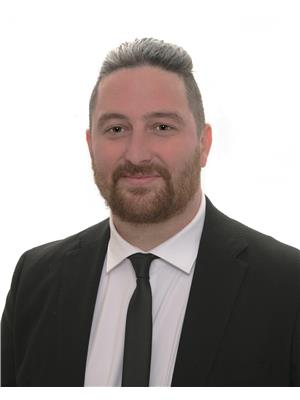 Joey D'Ambrosio