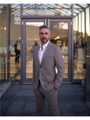 AMIR ESMAILZADE