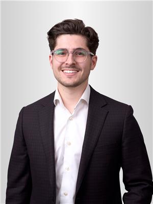 Robert Alfieri
