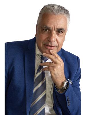 TONY GALLUZZO