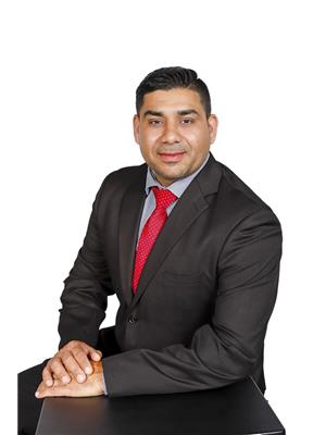 SAQIB HAFEEZ