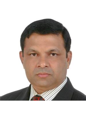 SYED AMINUL ISLAM