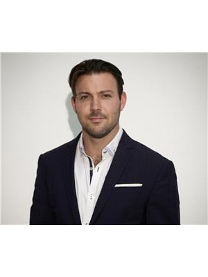 BRETT STEIN