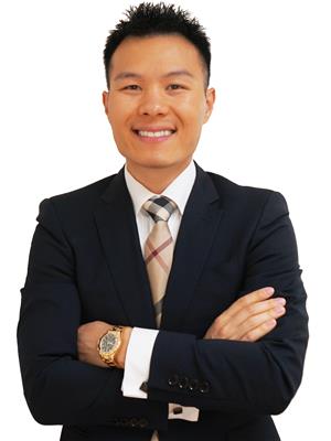 JIN ZOU