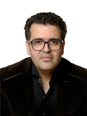 NAVID HANIFI