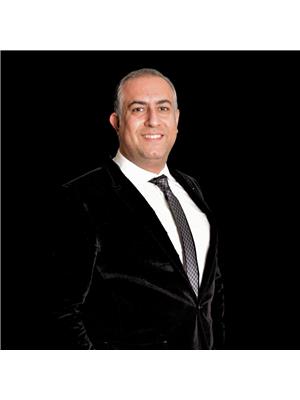 YASER ABDOLMAJIDI