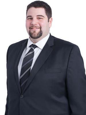 DAVID ANTHONY BORG