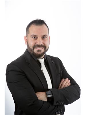 RAMIN ALOKOZAY