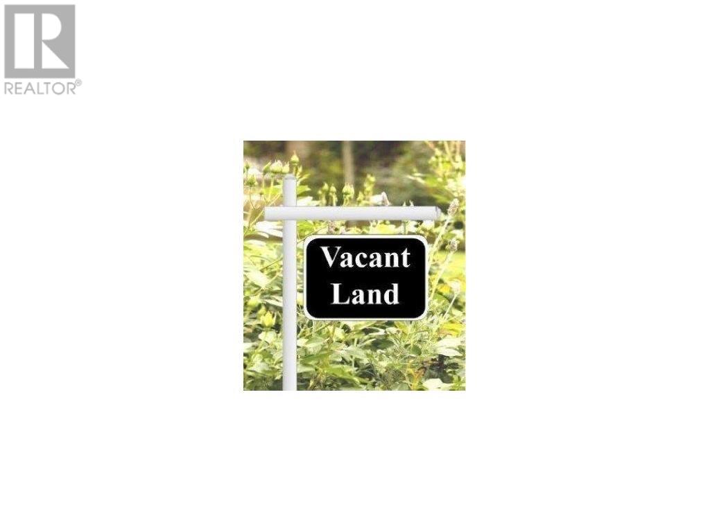 Vacant Land For Sale | 156 176 Main Street | Pasadena | A0L1K0