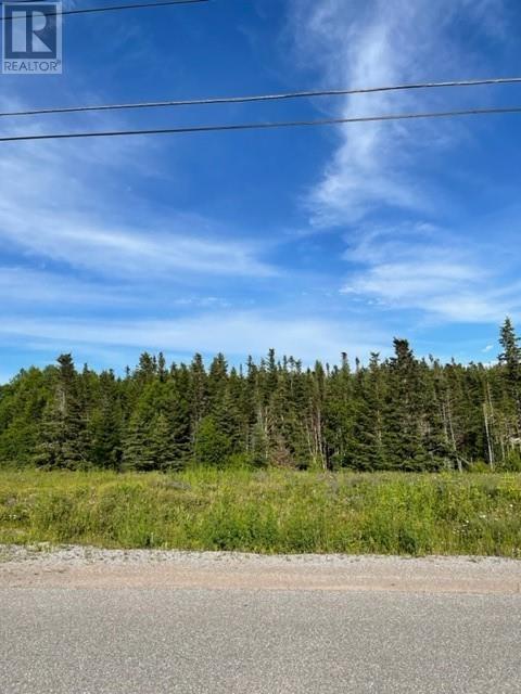 Vacant Land For Sale | 4 Joels Crescent | Deer Lake | A8A0C6