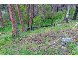 Lot 34 Winchester Road, Vernon, BC V1H2E1 Photo 8