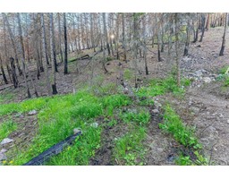 Lot 34 Winchester Road, Vernon, BC V1H2E1 Photo 6