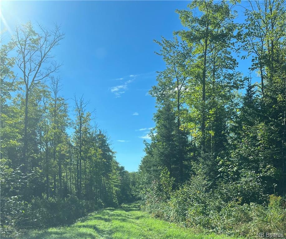 285k · 89 Acres Route 180, South Tetagouche, NB E2A 7G3