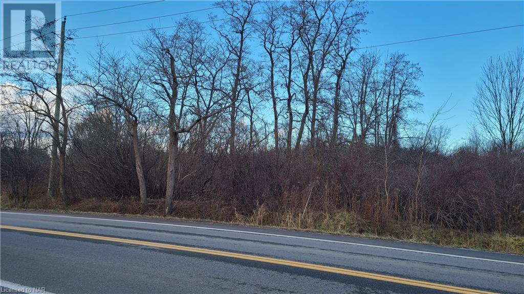 Vacant Land For Sale | Pt Lt 16 Lyons Creek Road | Niagara Falls | L2E6S6