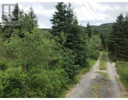0 Snows Lane Road thumbnail 2