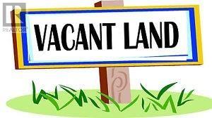 Vacant Land For Sale | 165 Main Street N | Glovertown | A0G2L0