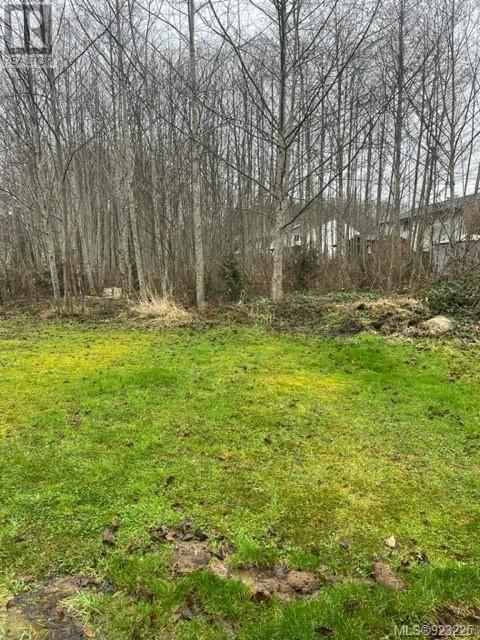 Vacant Land For Sale | Lot 3 Thunderbird Way | Port Hardy | V0N2P0