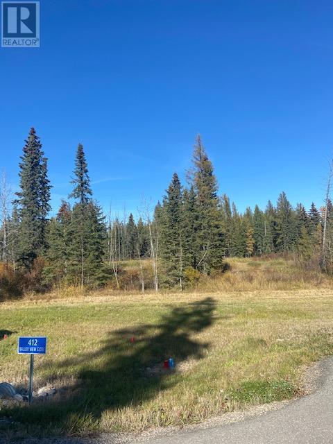 Vacant Land For Sale | 412 Valley View Close | Rural Clearwater County | T4T1A7