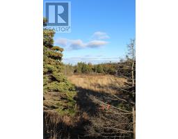 1068-1106 Torbay Road thumbnail 4
