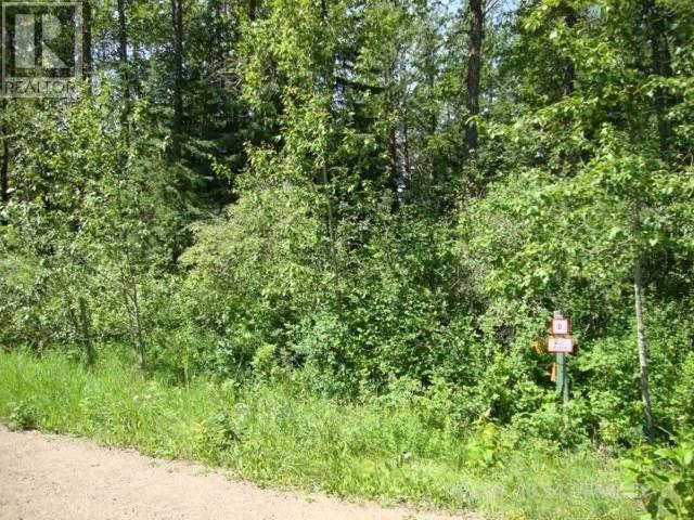Vacant Land For Sale | Parcel D Marie Hanson Rd | Brightsand Lake | S0M0H0