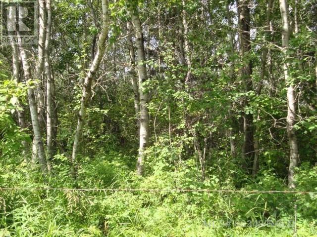 Vacant Land For Sale | Parcel E Marie Hanson Rd | Brightsand Lake | S0M0H0