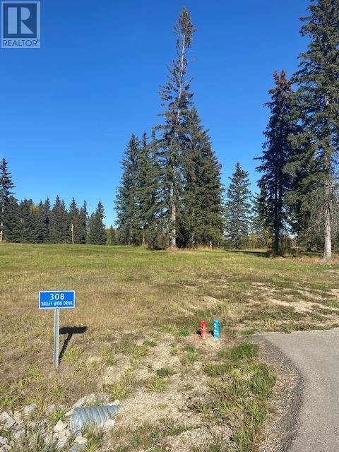 Vacant Land For Sale | 308 Valley View Drive | Rural Clearwater County | T4T1A7