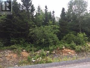 Vacant Land For Sale | 39 Clearwater Drive | Clarenville | A5A4P5
