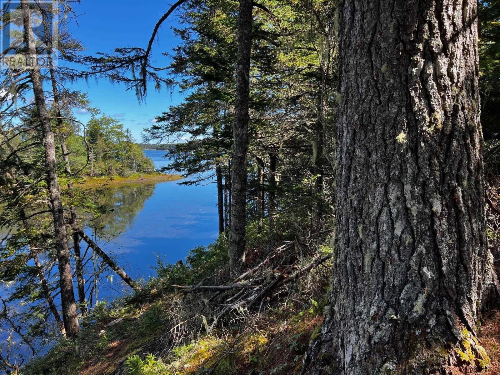 Lot 5 Cooks Brook, Bayport Vacant Land For Sale MLS 202309161 Ovlix
