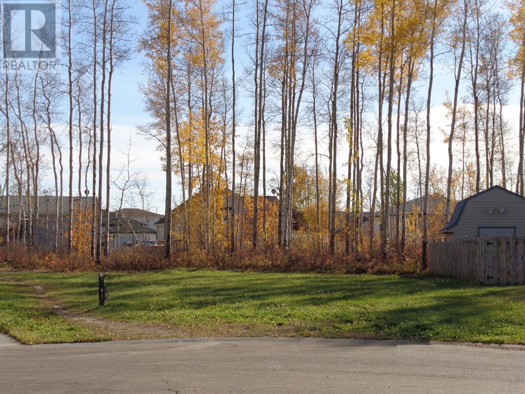 Vacant Land For Sale | 5 Birch Close | High Level | T0H1Z0