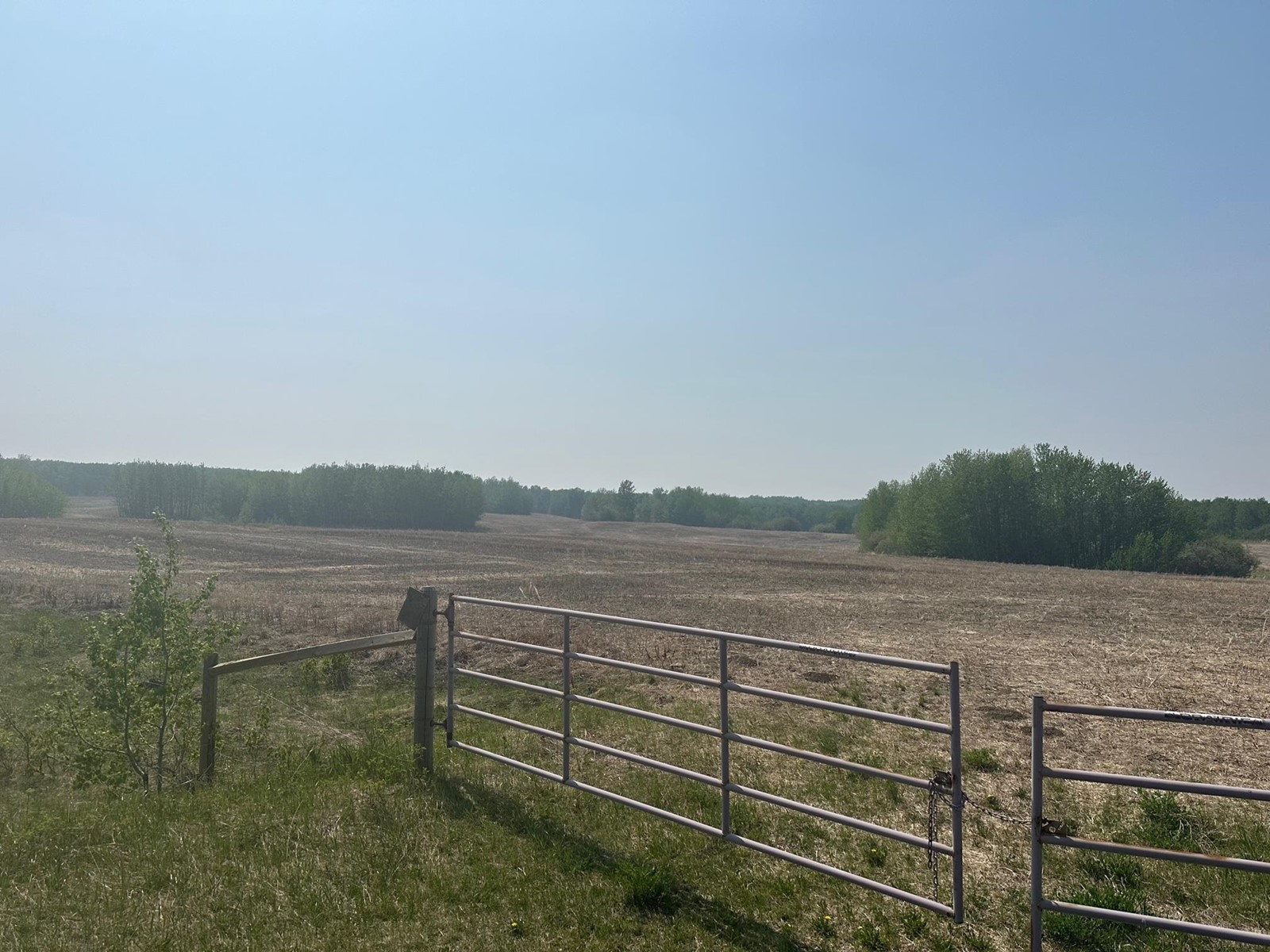 Vacant Land For Sale | Twp 534 Rr 112 | Rural Two Hills County | T0B4K0