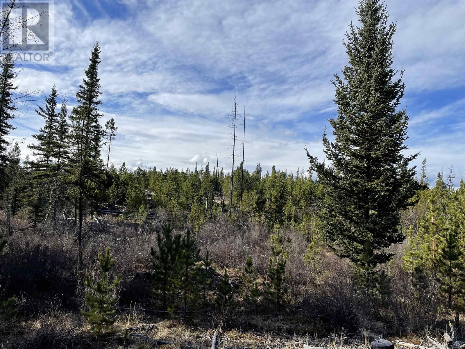 Vacant Land in Williams Lake - Image 9
