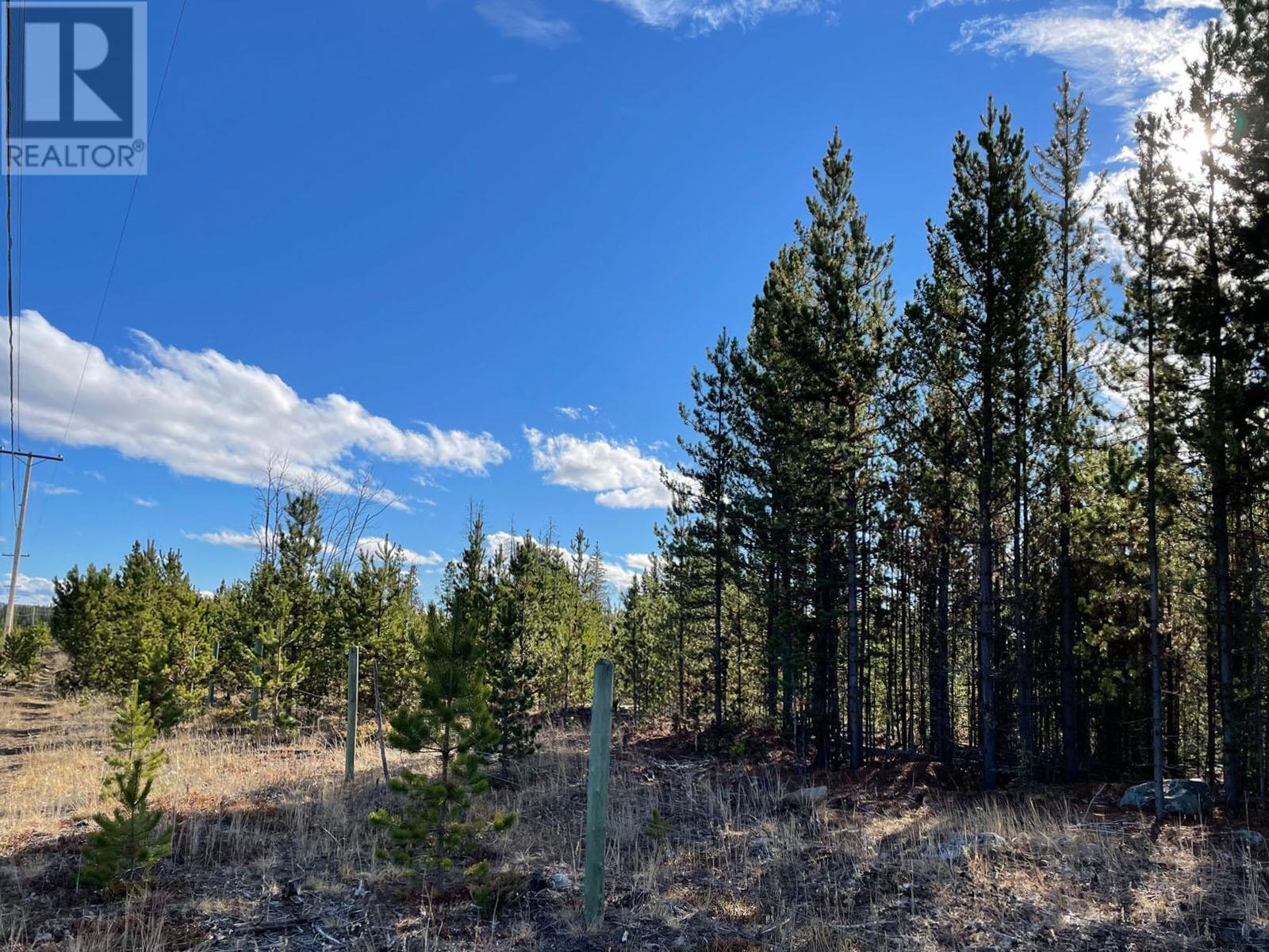 Vacant Land in Williams Lake - Image 7