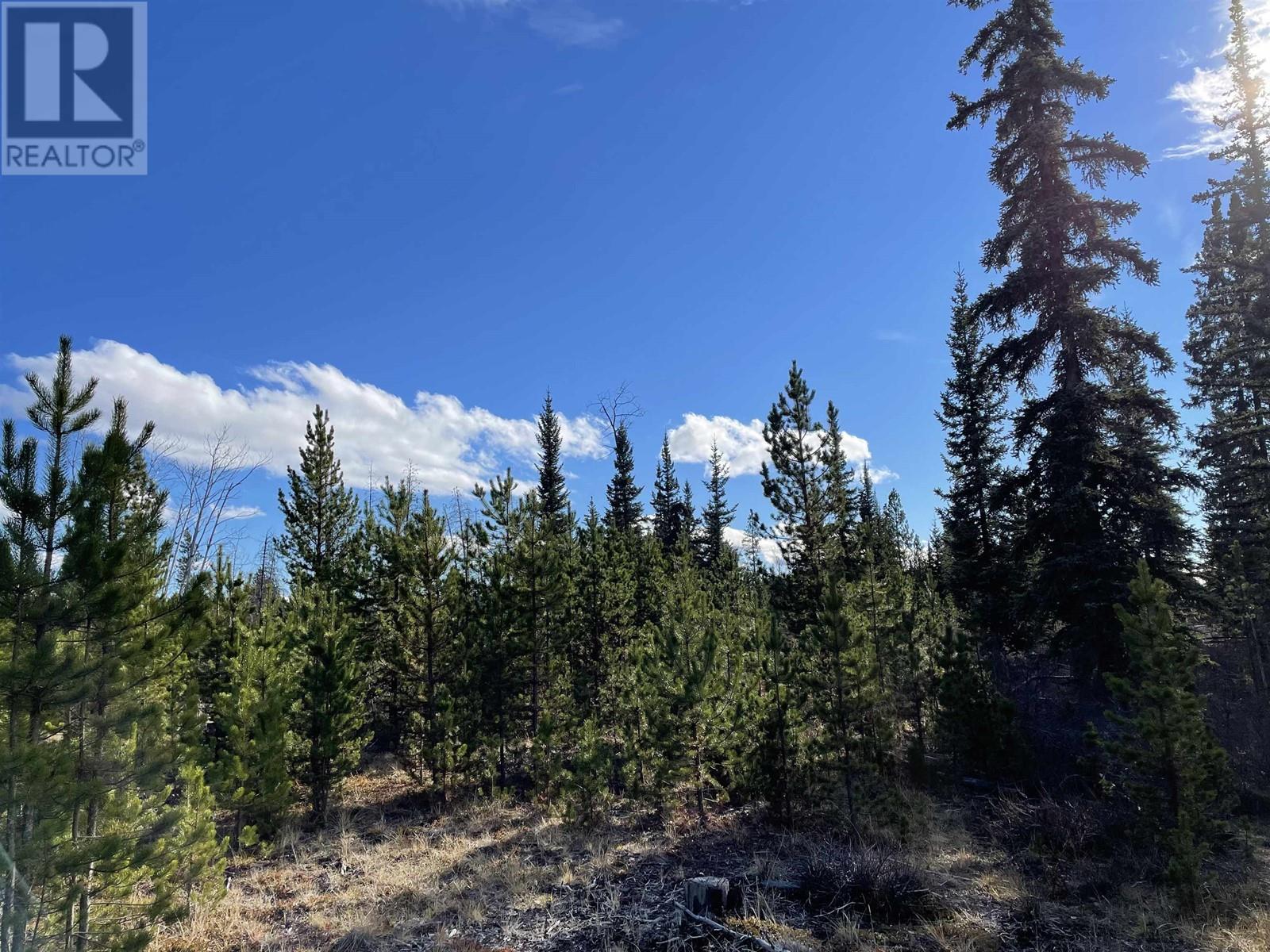 Vacant Land in Williams Lake - Image 17