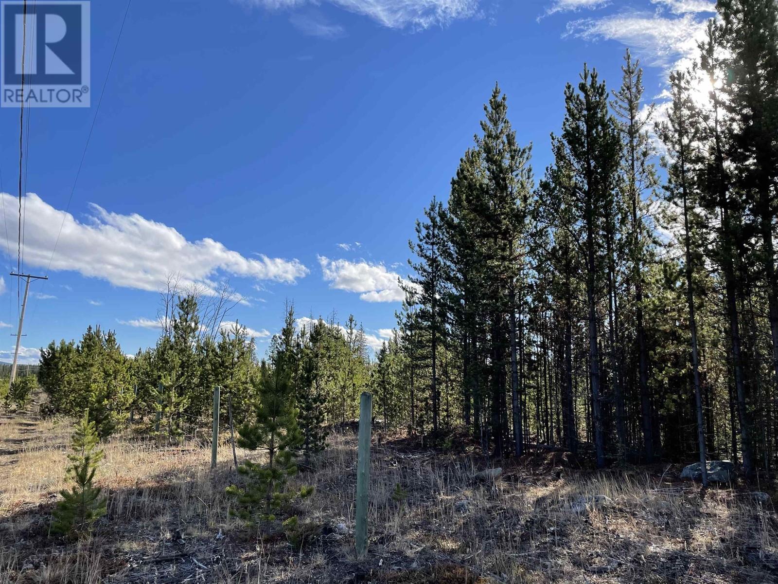 Vacant Land in Williams Lake - Image 6