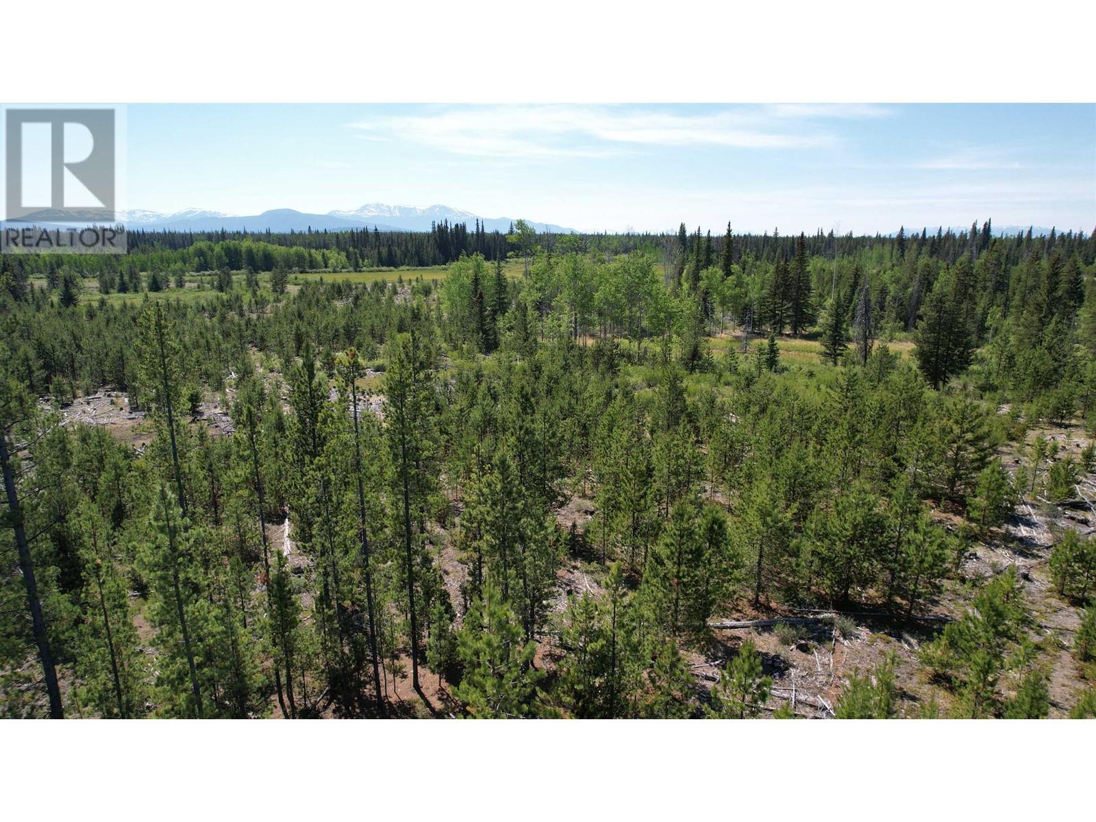 Vacant Land in Williams Lake - Image 4