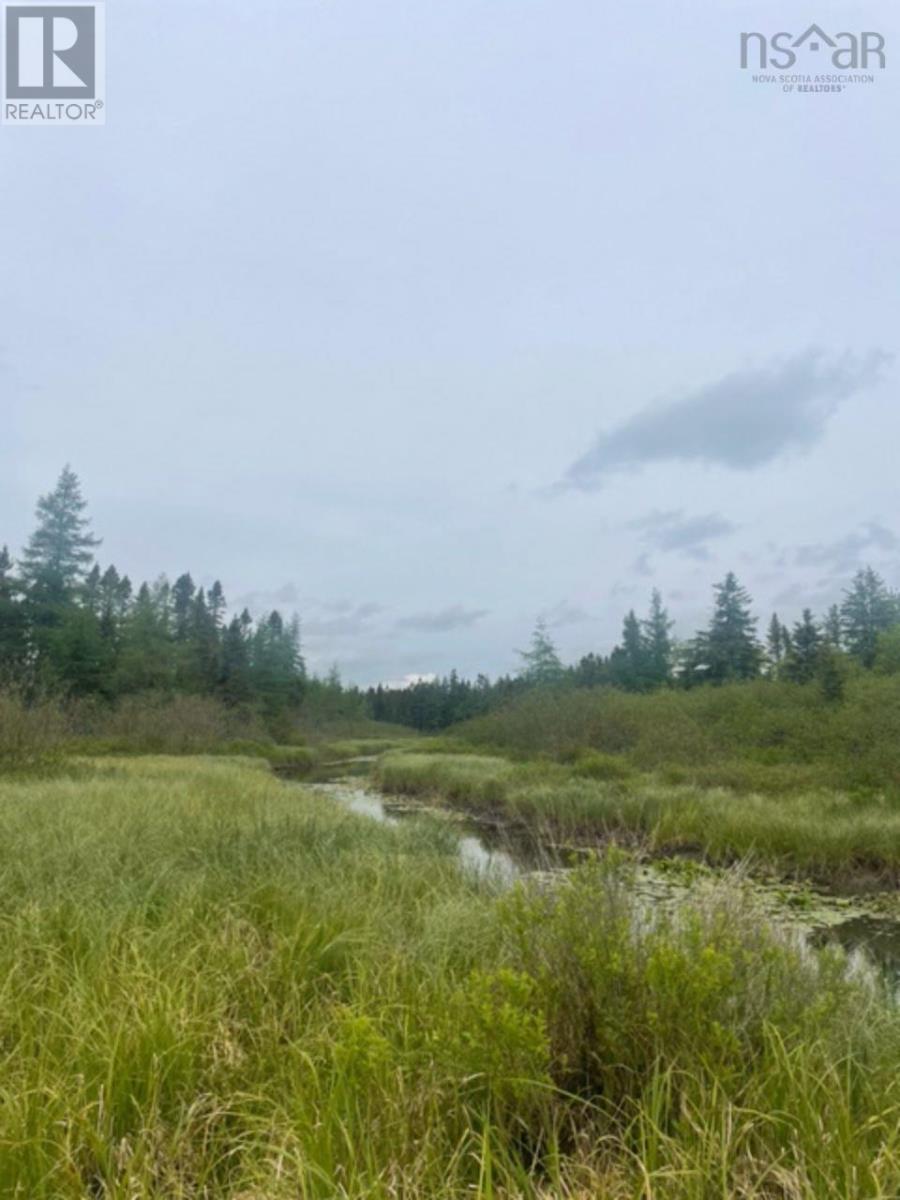 Lot 1 Enfield Road, Nine Mile River Vacant Land For Sale MLS