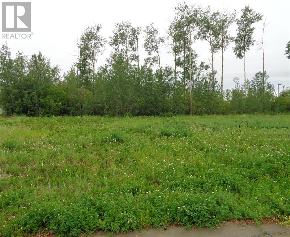Vacant Land For Sale | 29 Chonkolay Drive | High Level | T0H1Z0