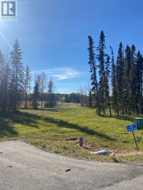 Vacant Land For Sale | 401 Valley View Close | Rural Clearwater County | T4T1A7