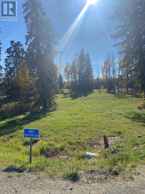 Vacant Land For Sale | 413 Valley View Close | Rural Clearwater County | T4T1A7