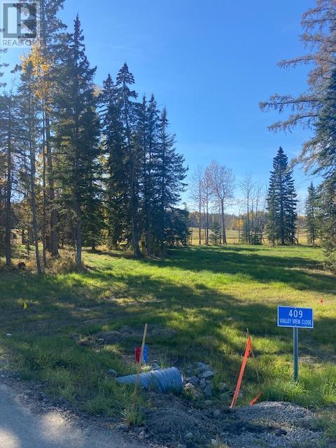 Vacant Land For Sale | 409 Valley View Close | Rural Clearwater County | T4T1A7