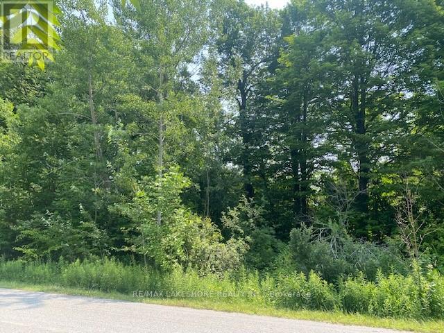 Vacant Land For Sale | A Pipeline Rd | Cramahe | K0K1M0